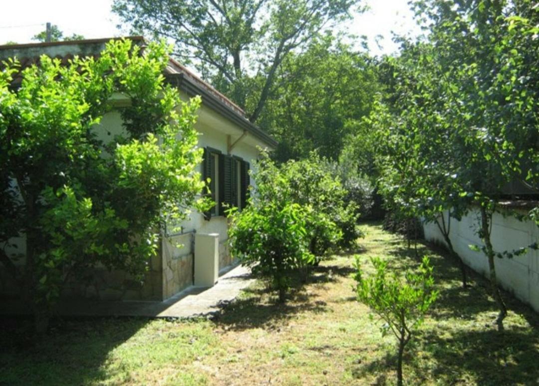 Villa Jose Baiano (Avellino) מראה חיצוני תמונה